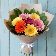 Букет цветов из:  Герберы в Кагальницкой
