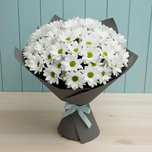 Букет цветов из:  Хризантемы в Кагальницкой