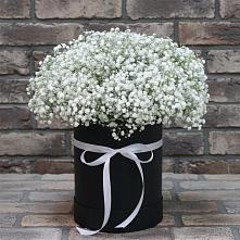 Цветочная композиция из Гипсофила в шляпной коробке в Кагальницкой