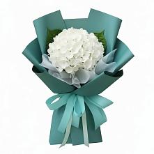 Букет цветов из:  Гортензия в Кагальницкой